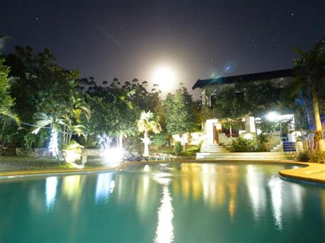 blue orchid resort cebu philippines.